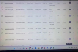 maximize profit, walmart seller dropshipping, account management automation