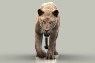 do 3d animal animation, 3d animal rigging, 3d animal vfx compositing, animal fur