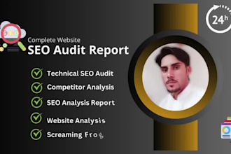 provide SEO audit reports and competitive website analysis within 24 hours