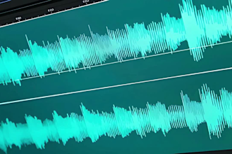 do quran recitation recording, audio editing and enhancement professionally