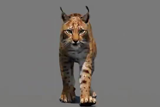 create realistic 3d animal animation, 3d animal model, 3d animal xgen fur