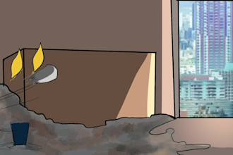 do 2d cartoon animation,2d animated music video, animated meme coin,2d animation
