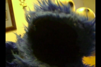 voice elmo, cookie monster and kermit