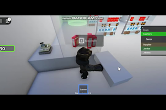 script for your roblox project