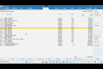 handle your accounting work data entry manage