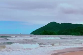 edit and direct short videos for tiktok reels and shorts