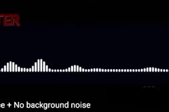 professionally edit clean up and fix your audio