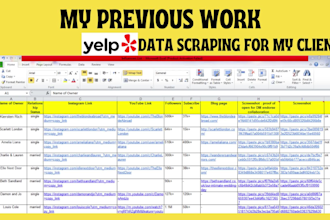 virtual assistant and data entry operator