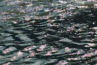 professionally edit your all type of photos and videos