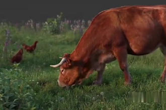 render realistic 3d of any animal model 3d animal animation vfx cgi gen hair fur
