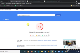 increase wordpress page speed for google page speed insight