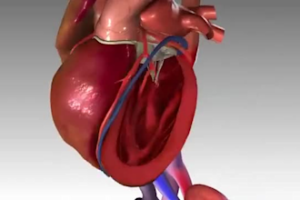 3d medical explainer video, 3d medical animation video, 3d product animation