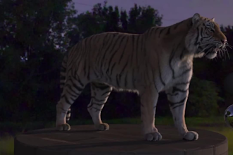 3d animal model,3d creature with xgen hair, realistic fur,3d animal animation