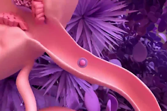 do 3d medical animation anatomy animation orthopedic and surgical animation