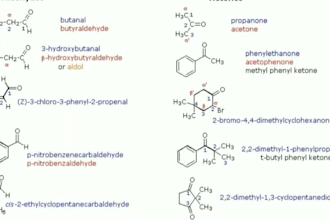 provide tutoring services in chemistry,science and biology