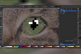 draw pixel and vector portraits and illustrations