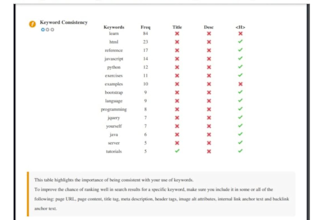 provide a professional SEO audit report for your website
