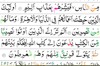 provide you one to one live online quran classes at home