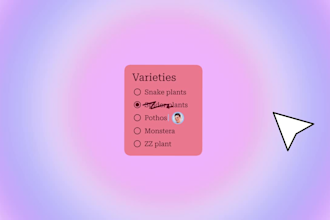 do animated explainer for saas startup, software explainer video, product demo