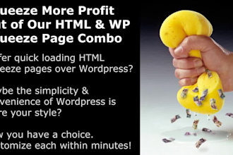 send 100 Landing Pages plus a LP Wordpress Plugin  U S seller