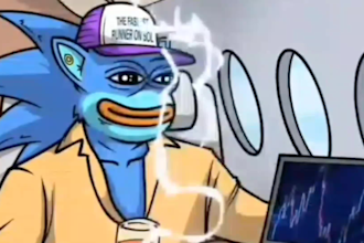 crypto meme video meme coin art nft gif animation video ponke wojak solana sonic