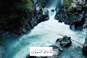 offer talented quran reciter services melodious quran voice