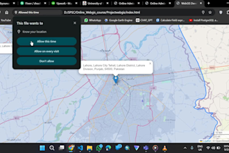 do interactive webgis portal, gis maps, geospatial analysis and gis mapping