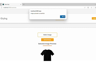 develop python web application with flask and django