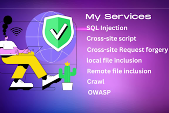 perform penetration and vulnerability test on your website