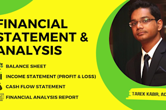 prepare professional financial statement and analysis report