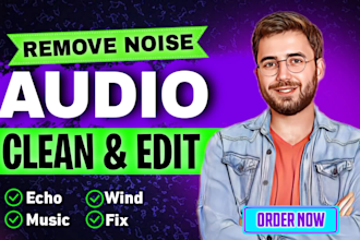 audio clean, remove background noise, wind, echo, music, etc