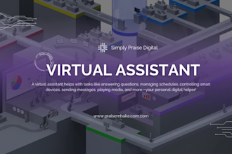provide virtual assistant and customer support services