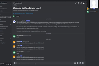 create a professional discord bot