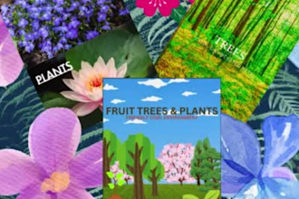 deliver a viral botanical colouring book