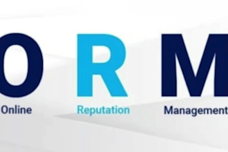 do brand promotion and brand management, online reputation managements