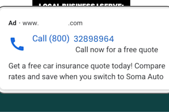 run google PPC ads and call only ads for local business leads generation
