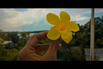 edit mobile video clip