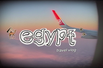 do professional social media, travel vlog video editor