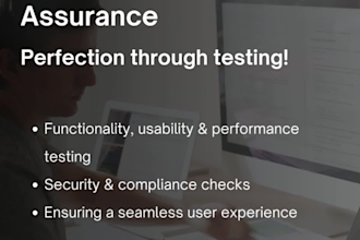 provide custom software development services to you