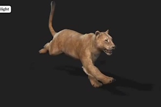 do high quality 3d animal model, animal with xgen, fur, grooming hair animation