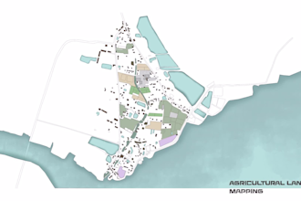 do site analysis, master plan, site plan and urban mapping