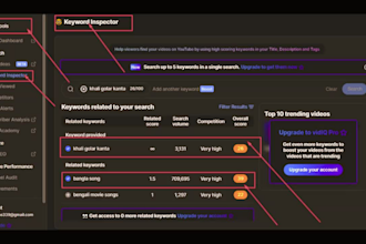 create, setup and SEO professional youtube channel
