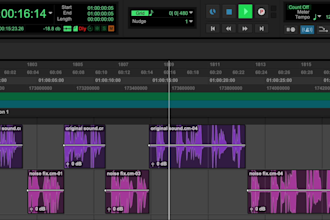 edit, noise fix, noise reduction, mix and master your audio, podcast