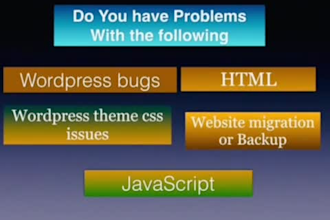 repair wordpress, fix bugs, errors and issues with pro support
