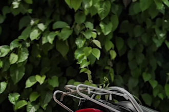 do good in  reel related contents