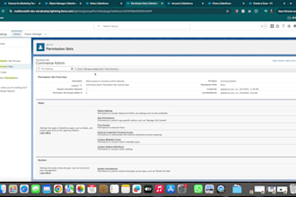 do complete salesforce setup and configuration