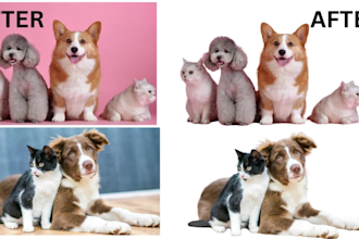 do bulk photo background removal, crop, resize image and product image editing