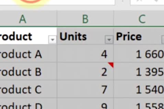 do excel word data entry tasks professionally