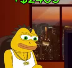 do 2d memecoin animation, crypto animation, 2d animation, solana memecoin video