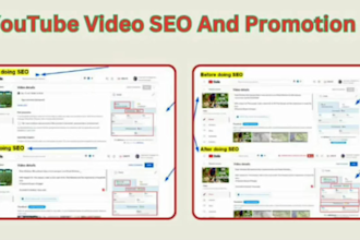 be best youtube SEO expert for video channel ranking as growth manager